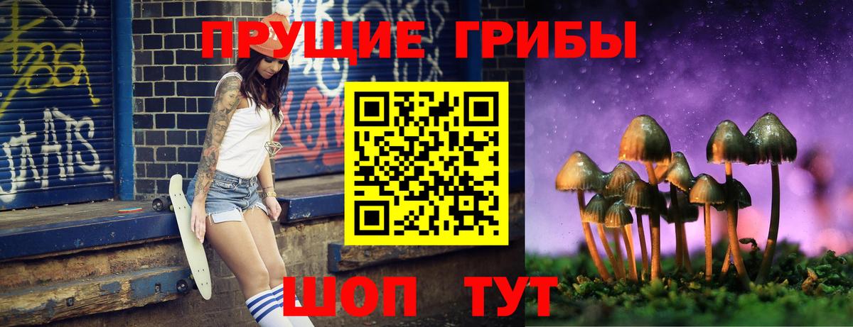 Псилоцибиновые грибы прущие грибы Муравленко